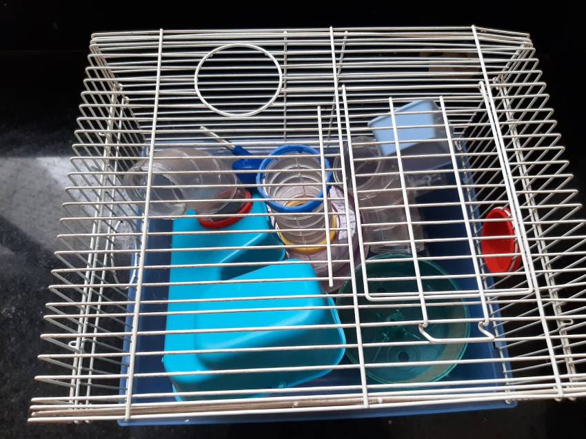 Foto