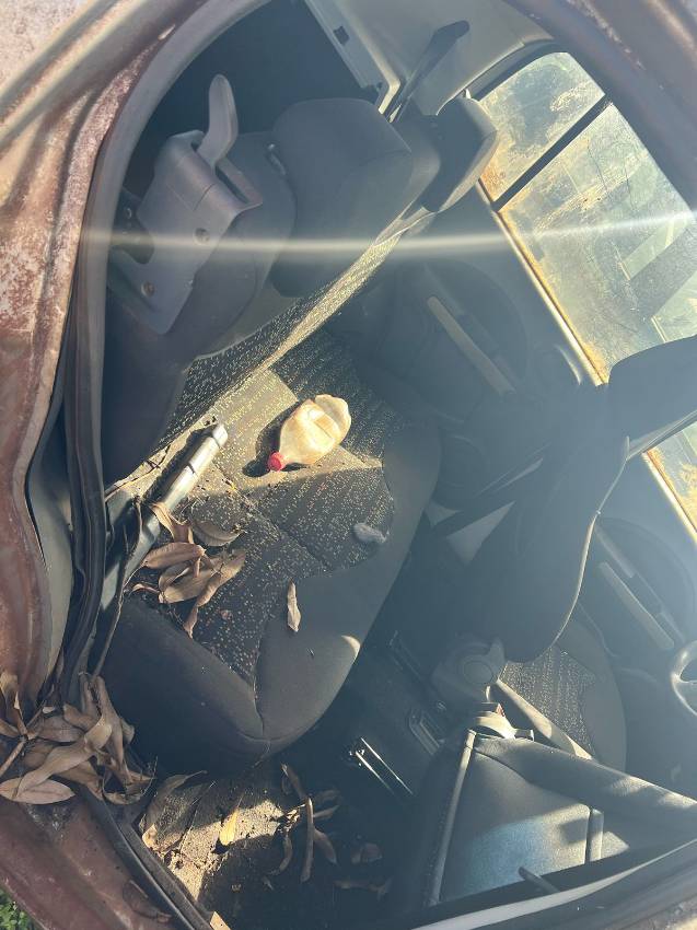 Foto