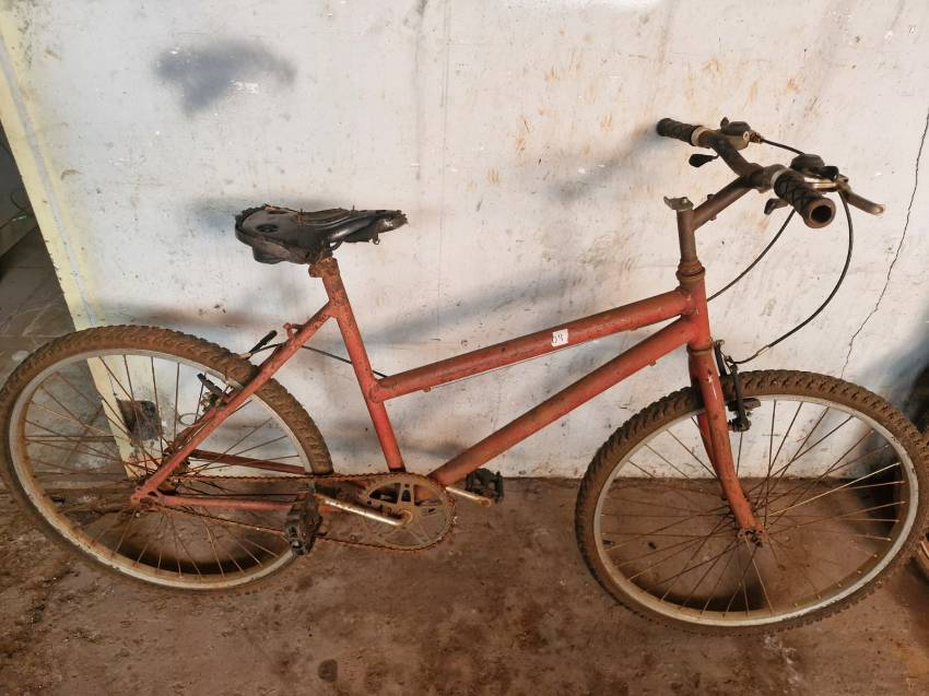 Foto