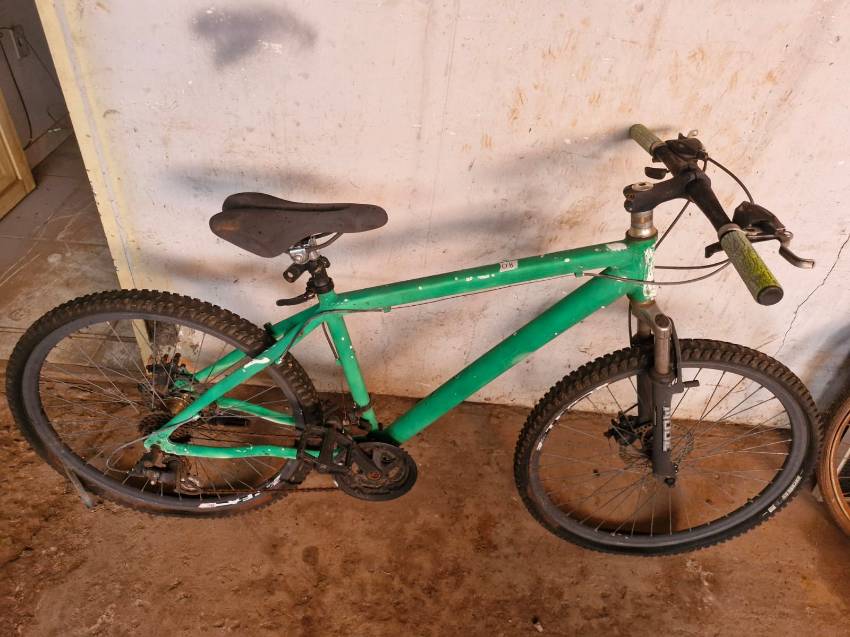 Foto