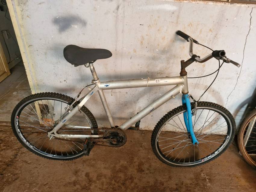 Foto