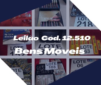LEILÃO DE BENS DIVERSOS - 12510