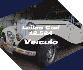 VW/MP LAFER (1975/1975) - 12524