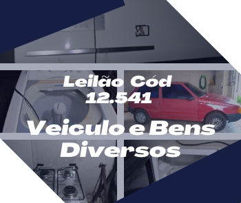 VEÍCULOS E BENS DIVERSOS