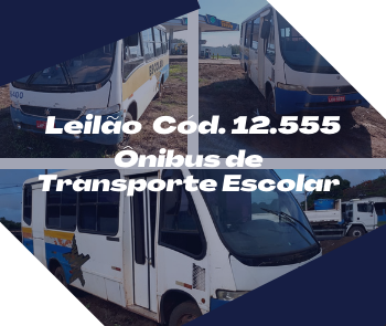 ÔNIBUS DE TRANSPORTE ESCOLAR
