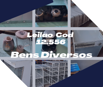 LEILÃO DE BENS DIVERSOS