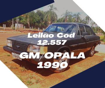 GM/OPALA COMODORO, 1990 