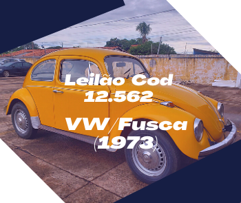 VW/FUSCA 1500 (1973)