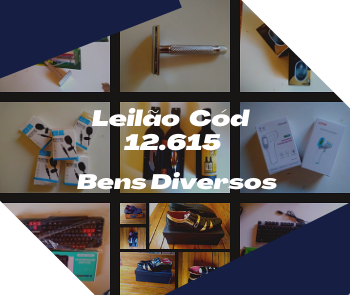 LEILÃO DE BENS DIVERSOS