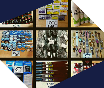 LEILÃO DE BENS DIVERSOS E VARIEDADES