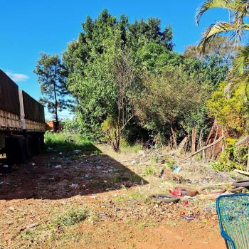 LOTE Nº 08, DESMEMBRADO DA CHÁCARA 42-H, SITUADO NA RUA VICENTE AZAMBUJA, COMARCA DE PONTA PORÃ/MS