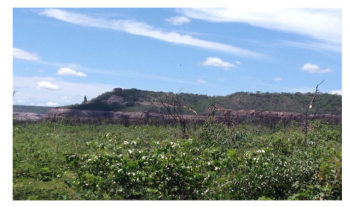 UMA ÁREA DE TERRAS DENOMINADA FAZENDA CONQUISTA II, GUARIBAS-PI