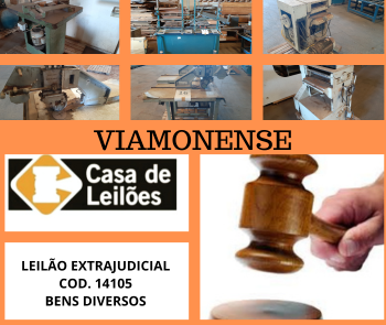 2ª LEILÃO DE LOTES REMANECENTES DE BENS DIVERSOS - VIAMONENSE