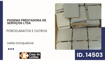 PORCELANATOS E OUTROS