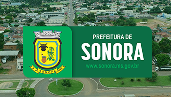 VEÍCULOS, MAQUINÁRIOS, BENS MÓVEIS E SUCATAS